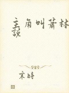 主角叫萧林的小说