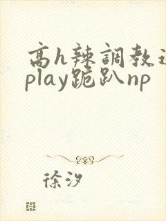 高h辣调教道具play跪趴np封面