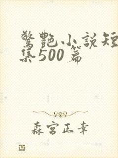 惊艳小说短篇合集500篇封面