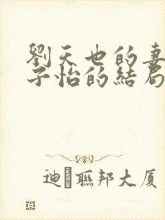 刘天也的妻子赵子怡的结局