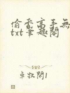 偷香高手无删减txt笔趣阁封面
