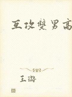 互攻双男高h封面