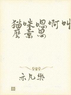 猫咪嗯啊叫是什么意思