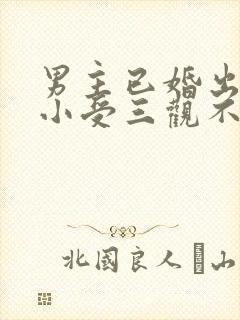 男主已婚出轨发小受三观不正的小说封面