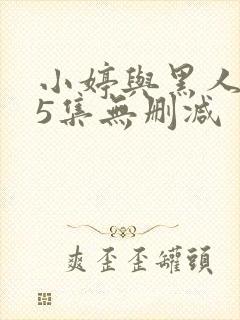 小婷与黑人1~5集无删减封面