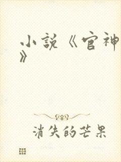 小说《官神夏想》封面