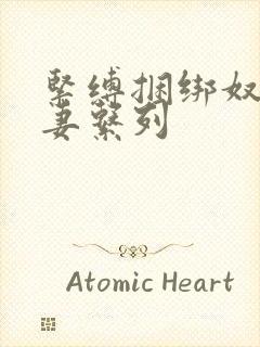 紧缚捆绑奴隷人妻系列封面