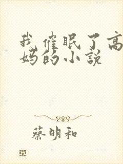 我催眠了高冷妈妈的小说封面