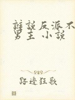 谁说反派不能当男主 小说封面