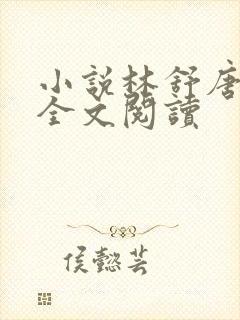 小说林舒唐亦琛全文阅读