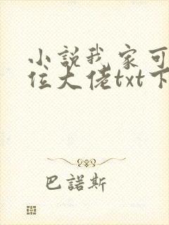 小说我家可能有位大佬txt下载