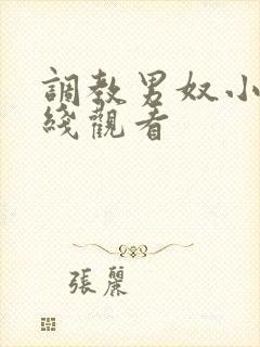 调教男奴小说在线观看