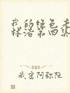 我的绝色老板娘林浩第四集