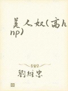 美人奴(高h,np)