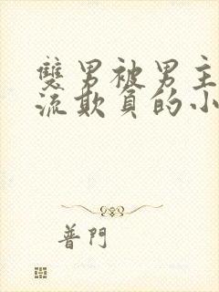 双男被男主们轮流欺负的小说封面