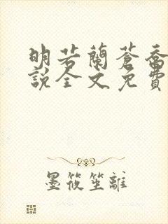 明若兰苍乔的小说全文免费阅读封面