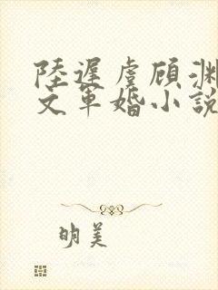 陆迟虞顾渊年代文军婚小说