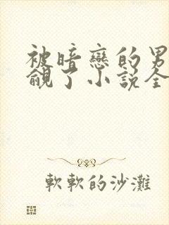 被暗恋的男神觊觎了小说全文阅读