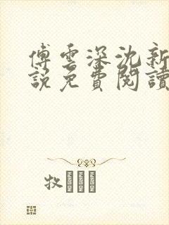 傅云深沈新桐小说免费阅读