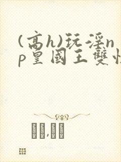 (高h)玩淫np皇国王双性
