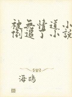 被无情道小师弟倒追了小说免费下载