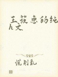 王筱惠的纯肉高h文