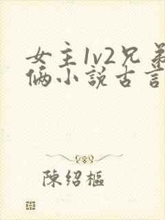 女主1v2兄弟俩小说古言封面