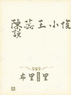 陈蕊王小俊的小说封面