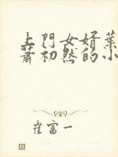 上门女婿叶辰和萧初然的小说最新章节封面