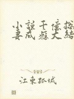 小说千亿总裁宠妻成瘾大结局