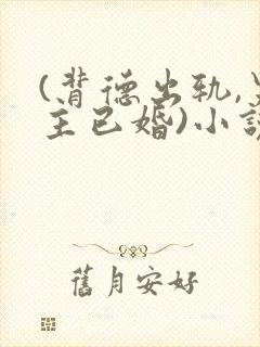 (背德出轨,男主已婚)小说