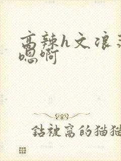 高辣h文浪荡嗯嗯啊封面