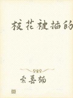 校花被插的小说