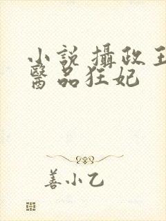 小说 摄政王的医品狂妃