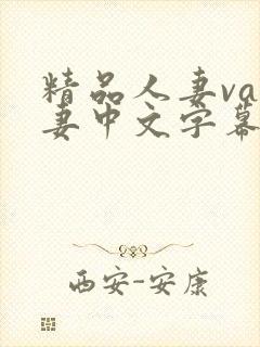 精品人妻va人妻中文字幕