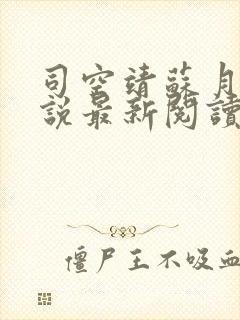 司空靖苏月汐小说最新阅读