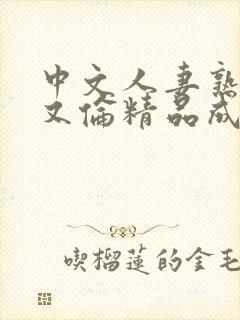 中文人妻熟妇乱又伦精品成熟午夜