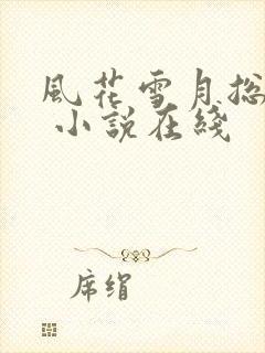 风花雪月总关情 小说在线