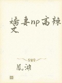娇妻np高辣h文封面