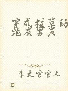 穿成校草的纯1炮灰男友