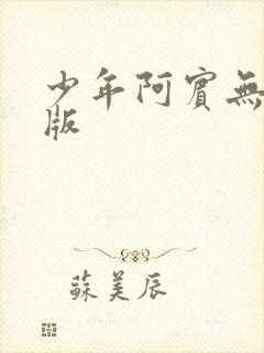 少年阿宾无删减版封面