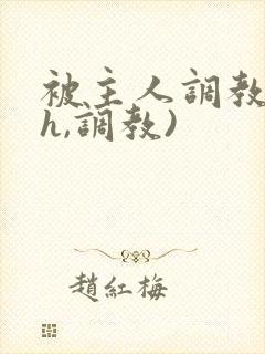 被主人调教(高h,调教)