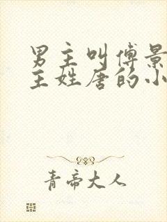 男主叫傅景琛女主姓唐的小说封面