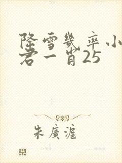 降雪几率小说博君一肖25封面