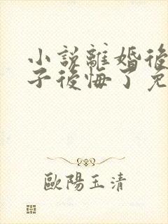 小说离婚后,妻子后悔了免费阅读封面