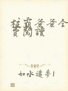 校霸爸爸全本免费阅读