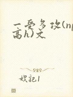 一受多攻(np高h)文