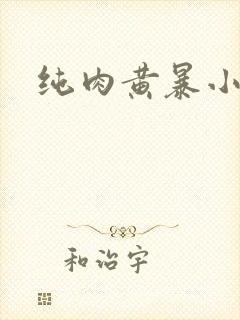 纯肉黄暴小说封面