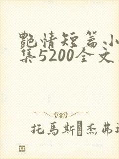 艳情短篇小说合集5200全文在线阅读封面