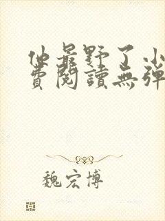 他最野了小说免费阅读无弹窗